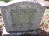 image of grave number 701639